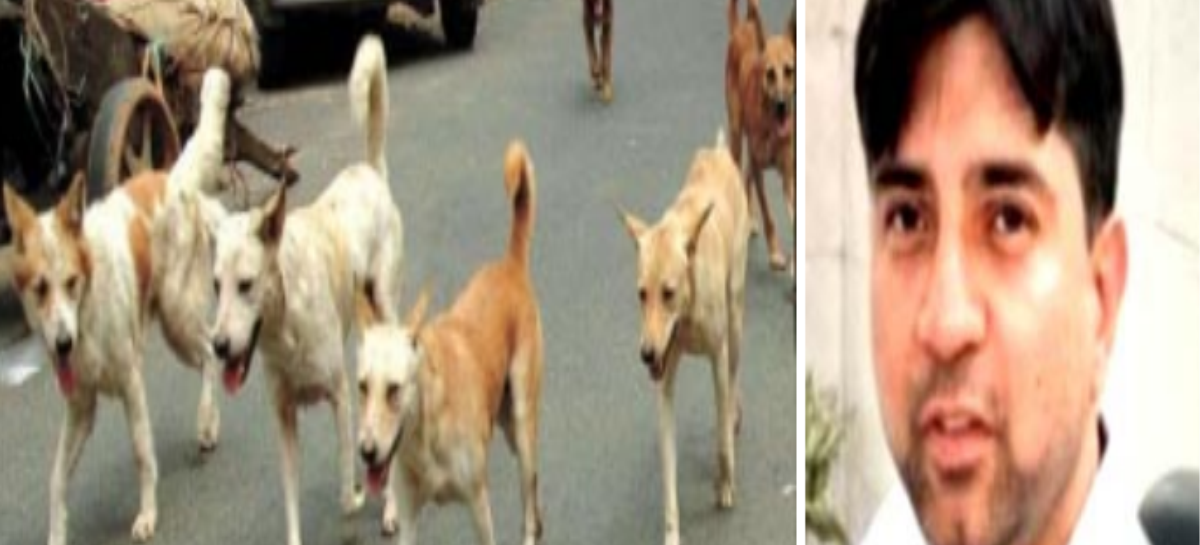 कुत्तों की नसबंदी के बाद अब माइक्रोचिप के नाम पर लूट-बांट की तैयारी