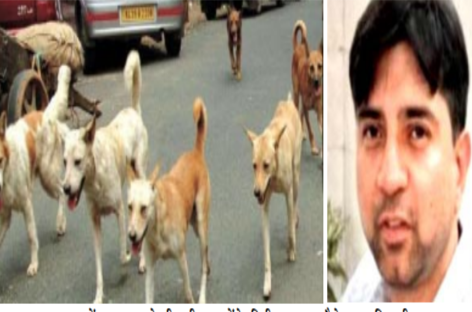 कुत्तों की नसबंदी के बाद अब माइक्रोचिप के नाम पर लूट-बांट की तैयारी