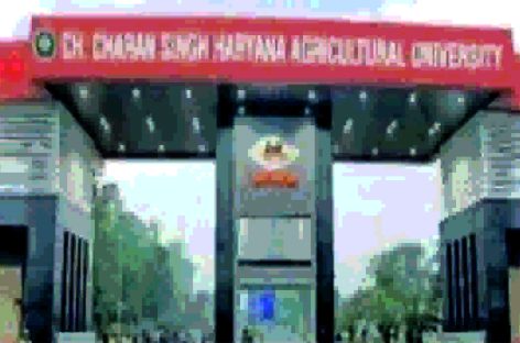 हिसार कृषि विश्वविद्यालय के छात्रों की शानदार जीत