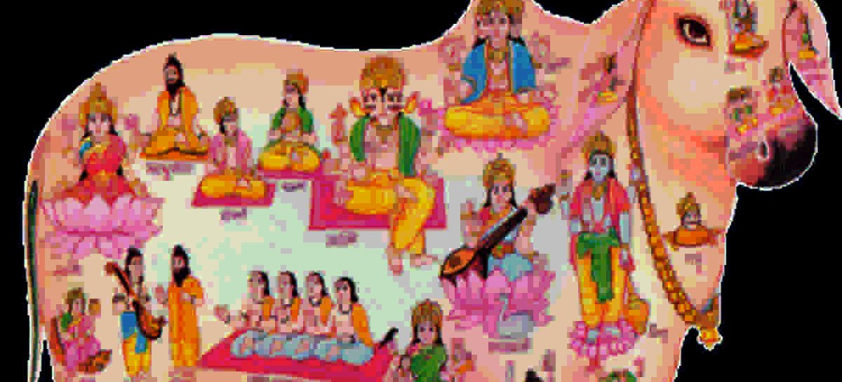 सरकार ही नहीं न्यायापालिका भी विश्वगुरु बनने की राह पर