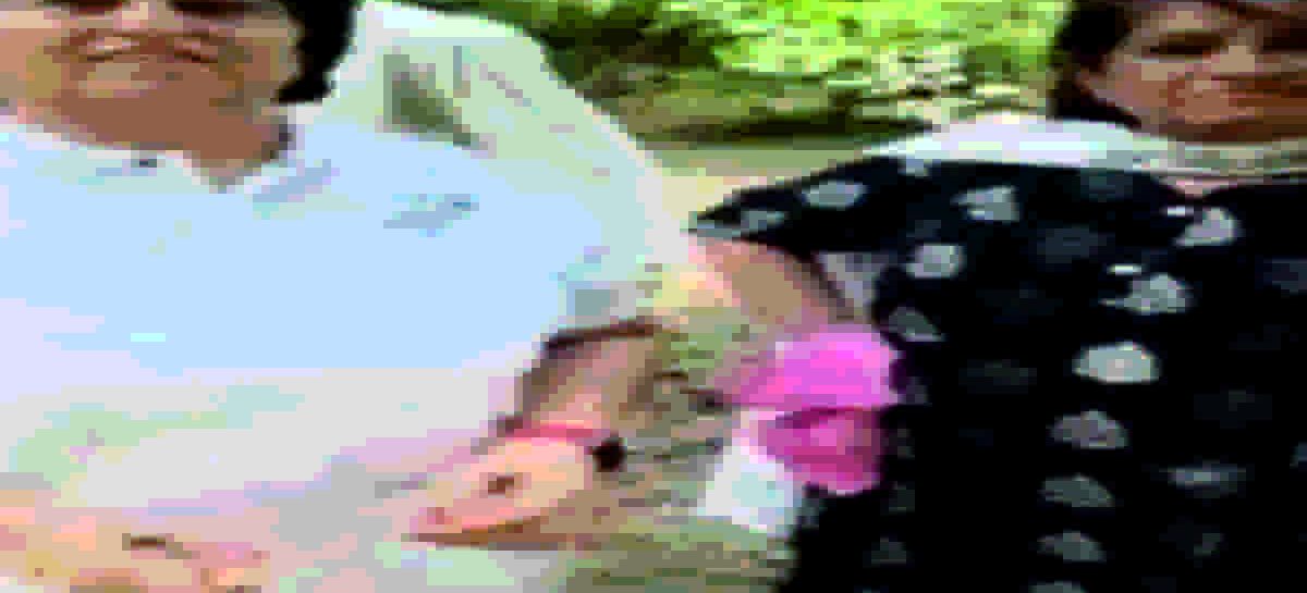 वाह एफएमडीए वाह : पेड़ उखाड़ कर नए पौधों से बढ़ा रहे हरियाली