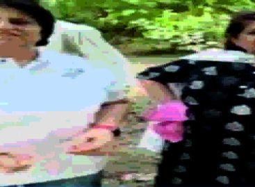वाह एफएमडीए वाह : पेड़ उखाड़ कर नए पौधों से बढ़ा रहे हरियाली
