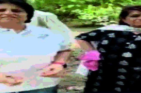 वाह एफएमडीए वाह : पेड़ उखाड़ कर नए पौधों से बढ़ा रहे हरियाली
