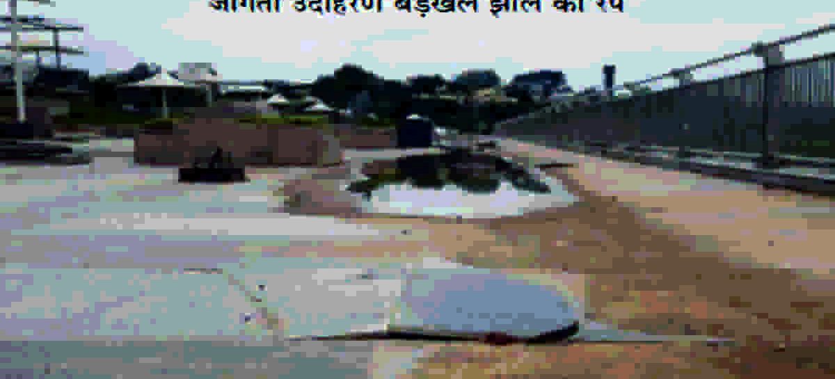 बडख़ल इलाके के लिए ख़तरा बनी बडख़ल झील