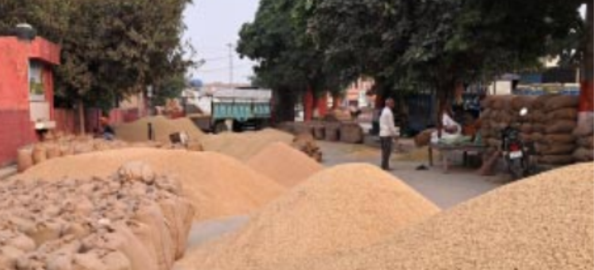 करनाल जिले के धान मिलिंग सिस्टम की पारदर्शिता पर उठे सवाल