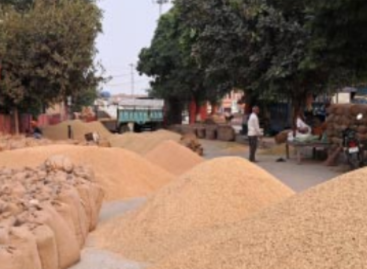 करनाल जिले के धान मिलिंग सिस्टम की पारदर्शिता पर उठे सवाल