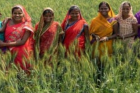 महिलाओं के लिए ज़मीन नहीं : अदृश्य और अस्तित्वहीन